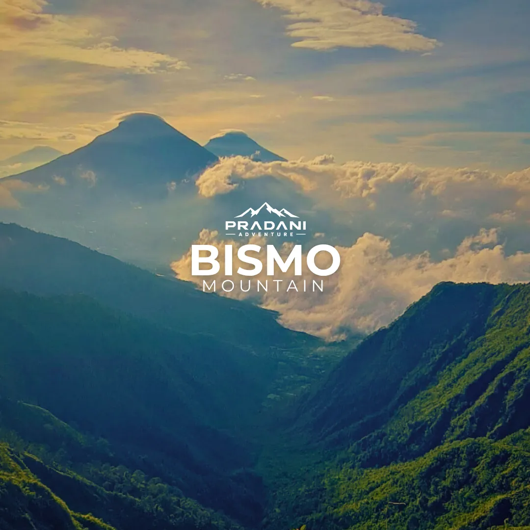 MT BISMO