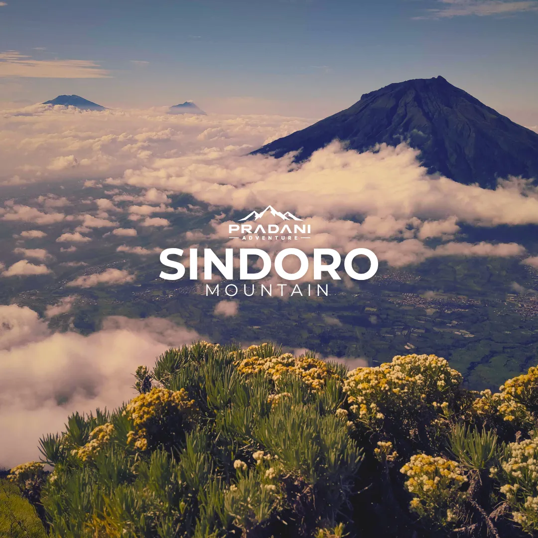 MT SINDORO