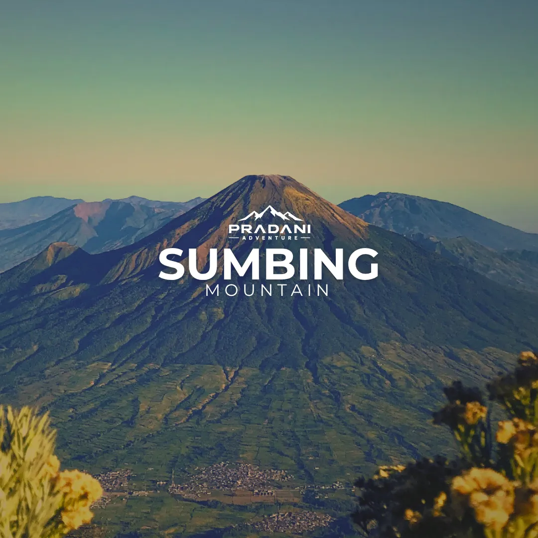 MT SUMBING